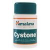shop-support-24x7-Cystone shop-support-24x7-Cystone